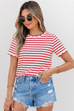 Stripe Scalloped Trim Round Neck T Shirt