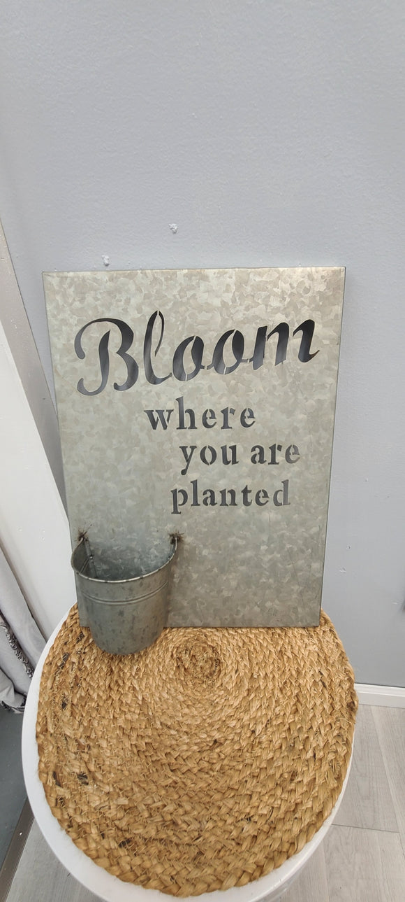 Bloom Where You Are Planted