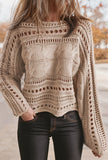 Maple Hollow-Out Knit Cropped Sweater